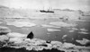 Peary Expedition, C1908. /Na Ship And A Canoe Among Ice Floes During An Arctic Expedition Led By Robert Peary. Photograph By Matthew Henson, C1908. Poster Print by Granger Collection - Item # VARGRC0175560