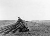 Montana: Drought, 1936. /Ndry Farmland In Eastern Montana. Photograph By Arthur Rothstein, July 1936. Poster Print by Granger Collection - Item # VARGRC0107971