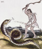 Aztec Killing A Serpent. /Ndrawing From The Codex Florentino, C1540, A Treatise Compiled By Bernardino De Sahagun (1499-1590) On The Aztecs And The Spanish Conquest Of Mexico. Poster Print by Granger Collection - Item # VARGRC0104280