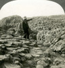 Ireland: Giant'S Causeway. /Nview Of The Giant'S Causeway, County Antrim, Northern Ireland. Photographed C1903. Poster Print by Granger Collection - Item # VARGRC0095883
