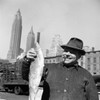 Fulton Fish Market, 1943. /Na Fisherman Holding A Fish At The Fulton Fish Market In New York City. Photograph By Gordon Parks, 1943. Poster Print by Granger Collection - Item # VARGRC0323199