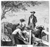 Texas: Cattle Branding 1874. /Ncowboys Branding Cattle In The Texas Cattle Trade. Wood Engraving, American, 1874. Poster Print by Granger Collection - Item # VARGRC0051843