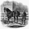 Racehorse, 1861. /N'Mr. Rarey And Cruiser - 'Cruiser, Shake Hands!'' Engraving, 1861. Poster Print by Granger Collection - Item # VARGRC0265980