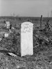 Rural Graveyard, 1941. /Nafrican American Cemetery On Abandoned Land In The Santee-Cooper Basin, South Carolina. Photograph By Jack Delano, March 1941. Poster Print by Granger Collection - Item # VARGRC0122618