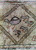 Synagogue, 6Th Century. /Nhen With Chicken. Detail Of A Border From The Mosaic Floor Of The Beth Alpha Synagogue In Present Day Israel. Early 6Th Century A.D. Poster Print by Granger Collection - Item # VARGRC0119237