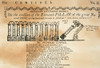 Cartoon: Constitution. /Ncartoon From The Massachusetts Centinel Published Shortly After New York Ratified The Federal Constitution On 26 July 1788. Poster Print by Granger Collection - Item # VARGRC0009648