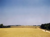 Georgia: Farm, 1941. /Nthe Jackson Farm In The Vicinity Of White Plains, Georgia. Photograph By Jack Delano, June 1941. Poster Print by Granger Collection - Item # VARGRC0122725