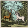 Stag and Unicorn, 17th Century Poster Print by Science Source - Item # VARSCIBL2705