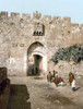 Jerusalem: Lion'S Gate. /Nview Of The Lion'S Gate, Or Saint Stephen'S Gate, In The Old City Of Jerusalem. Photochrome, C1900. Poster Print by Granger Collection - Item # VARGRC0126103