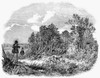 Pheasant Hunting, 1850. /Nwood Engraving, English, 1850. Poster Print by Granger Collection - Item # VARGRC0005128