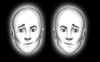 Half Faces Illusion Poster Print by Spencer Sutton/Science Source
