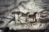 Lascaux: Horses. /Nibex And Horses From The Cave Of Lascaux At Montignac, France. Poster Print by Granger Collection - Item # VARGRC0040971