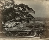 Japan: Kobe, 1880S. /Na View Of The City And Harbour Of Kobe From The Hills. Some Ships Are Anchored In The Harbour. Photograph, C1880. Poster Print by Granger Collection - Item # VARGRC0073540