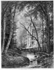 Catskill Brook, 1873. /Nwood Engraving, American, 1873, After A Painting By Worthington Whittredge. Poster Print by Granger Collection - Item # VARGRC0037828