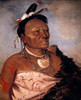 Catlin: Wichita Chief, 1834. /Nwee-Ta-Ra-Sha-Ro, Aged Wichita Head Chief. Oil On Canvas, 1834, By George Catlin. Poster Print by Granger Collection - Item # VARGRC0041786