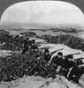 Wwi: Trenches, C1916. /N'Trenches Of The Allies Among The Dunes And Brambles On The Coast Of Flanders.' Stereograph, C1916. Poster Print by Granger Collection - Item # VARGRC0326567