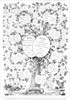 Queen Victoria Family Tree. /Ngenealogical Tree Of Queen Victoria'S Descendants (As Of 1887). Poster Print by Granger Collection - Item # VARGRC0087316