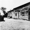 Shanty Town, 1936. /Nhousing Of Migrant Berry Pickers In Southern New Jersey. Photograph By Dorothea Lange, June 1936. Poster Print by Granger Collection - Item # VARGRC0123774