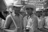 Puerto Rico: Strike, 1942. /Nstriking Workers Picketing Near The Sugar Mill In Yabucoa, Puerto Rico. Photograph By Jack Delano, 1942. Poster Print by Granger Collection - Item # VARGRC0326516