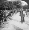 World War I: Argonne, C1918. /Na French Relief Column Of Algerian Zouaves In The Forest Of Argonne, France, During World War I, C1918. Poster Print by Granger Collection - Item # VARGRC0325455