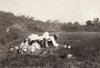 Migrant Family, 1911. /Na Migrant Family Of Berry Pickers At Work On A Cranberry Farm In Swift'S Bog, Massachusetts. Photograph By Lewis Hine, September 1911. Poster Print by Granger Collection - Item # VARGRC0106266