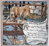 Crane: Dog And The Shadow. /Nillustration By Walter Crane For The Fable 'The Dog And The Shadow' From 'Baby'S Own Aesop,' 1887. Poster Print by Granger Collection - Item # VARGRC0268243