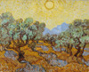 Van Gogh: Olive Trees, 1889. /N'Olive Trees With Yellow Sky And Sun.' Oil On Canvas, Vincent Van Gogh, November 1889. Poster Print by Granger Collection - Item # VARGRC0433546