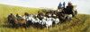 Harvesting, 1903. /Nin The State Of Washington. Oil Over A Photograph From 1903. Poster Print by Granger Collection - Item # VARGRC0008626