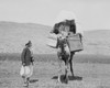 Middle Eastern Travelers. /Na Group Of Men Traveling By Camel In The Middle East. Photograph, Early 20Th Century. Poster Print by Granger Collection - Item # VARGRC0113193