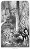 Florida: Swamp. /Nwood Engraving, 19Th Century. Poster Print by Granger Collection - Item # VARGRC0059810
