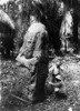 Mayan Monument, C1915. /Nmen Inspecting An Ancient Mayan Stone Monument At Quirigua, Guatemala. Photograph, C1915. Poster Print by Granger Collection - Item # VARGRC0129540