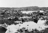Galapagos Islands, 1903. /Nremains Of Tortoises Killed By Hunters, Galapagos Islands, Ecuador. Photograph, C1903. Poster Print by Granger Collection - Item # VARGRC0111591