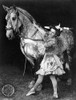 Circus: Rider, C1908. /Na Bareback Rider And Her Horse. Photograph, C1908. Poster Print by Granger Collection - Item # VARGRC0184823