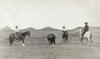 South Dakota: Cowboys. /Nthree Cowboys On Horseback Roping A Buffalo On The Plains Of South Dakota. Photograph By John C.H. Grabill, 1887. Poster Print by Granger Collection - Item # VARGRC0124910