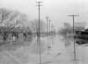 Tennessee: Flood, 1937. /Na Flooded Street In North Memphis, Tennessee. Photograph By Edwin Locke, February 1937. Poster Print by Granger Collection - Item # VARGRC0325683