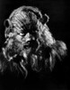 Beauty And The Beast, 1946. /Njean Marais As The Beast. Poster Print by Granger Collection - Item # VARGRC0088007