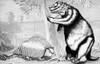 Glyptodont And Sloth. /Nglyptodont, At Left, And Ground Sloth (Megatherium), At Right. Illustration, 20Th Century. Poster Print by Granger Collection - Item # VARGRC0000458