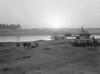 Iraq: Sunset, 1932. /Nsunset Along A River In Iraq. Photograph, 1932. Poster Print by Granger Collection - Item # VARGRC0111552