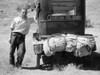 Montana: Drought, 1936. /Nman Fleeing Drought And Grasshoppers In South Carolina, With His Model T Ford On Highway 10, Missoula, Montana. Photograph By Arthur Rothstein, 1936. Poster Print by Granger Collection - Item # VARGRC0092883