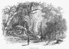 California: Yosemite, 1874. /Nbridal Veil Falls At Yosemite Valley, California. Wood Engraving, American, 1874. Poster Print by Granger Collection - Item # VARGRC0000615
