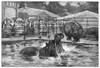 Central Park Zoo, 1888. /Nthe Hippopotami In Their New Tank At Central Park, New York City. Wood Engraving From An American Newspaper Of 1888. Poster Print by Granger Collection - Item # VARGRC0013817