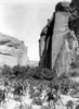 Navajo Farm, 1906. /Na Navajo Farm With Corn Growing Between Canyon Walls. Photographed By Edward S. Curtis, 1906. Poster Print by Granger Collection - Item # VARGRC0115962