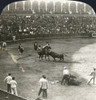 Spain: Bullfight, C1908. /N'Furious Charge Of The Bull Stayed By Lance Of A Picador Planted Between His Shoulders, Bull Fight, Seville, Spain.' Stereograph, C1908. Poster Print by Granger Collection - Item # VARGRC0323717