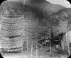 Canada: Fising Village, 1884. /Neulachon Drying On Racks In A Nisga'A Fishing Village At Fishery Bay, On The Nass River In British Columbia, Canada. Photographed By Richard Maynard, 1884. Poster Print by Granger Collection - Item # VARGRC0174599