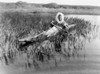 Alaska: Eskimo, C1929. /Nan Eskimo Muskrat Hunter Paddling Through The Marsh, Kotzebue, Alaska. Photographed By Edward S. Curtis, C1929. Poster Print by Granger Collection - Item # VARGRC0121978