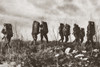 World War I: Italians. /Nitalian Troops Using Armored Shields As They Advance Against Austrian Machine-Gun Fire During World War I. Photograph, C1916. Poster Print by Granger Collection - Item # VARGRC0408060