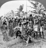 New Guinea: Cannibalism. /N'New Guinea Man-Eaters Bringing In Their Prey.' Staged Scene Of Native New Guineans Bringing Home A Man To Eat. Stereograph, American, C1919. Poster Print by Granger Collection - Item # VARGRC0326027