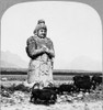 China: Ming Tombs, C1902. /Nan Ancient Marble Statue Depicting A Soldier At The Ming Tombs, With Swine In The Foreground. Photographed By Carleton H. Graves, C1902. Poster Print by Granger Collection - Item # VARGRC0116731