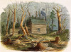 N.C.: Log Cabin, 1857. /Na Settler'S Cabin In North Carolina: Colored Engraving, 1857. Poster Print by Granger Collection - Item # VARGRC0061023
