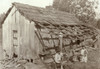 Dilapidated Home, 1921. /Nfarmer And Family In Front Of Their Rented Shack Near Sissonville, West Virginia. Photograph On By Lewis Hine, 11 October 1921. Poster Print by Granger Collection - Item # VARGRC0107204